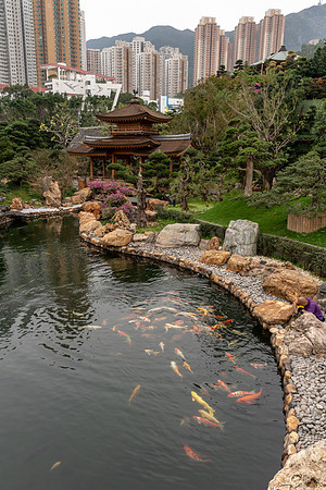 Nan Lian Gardens -3