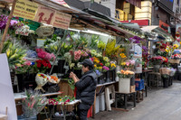 Flower Seller