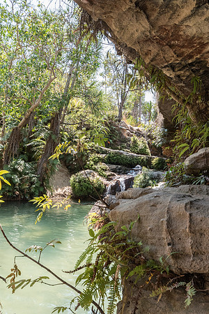 Isalo Oasis -1
