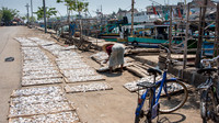 Drying Fish in the Sun on Trays -3