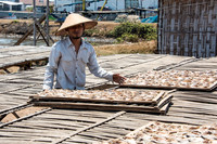 Collecting Dried Fish for Storage