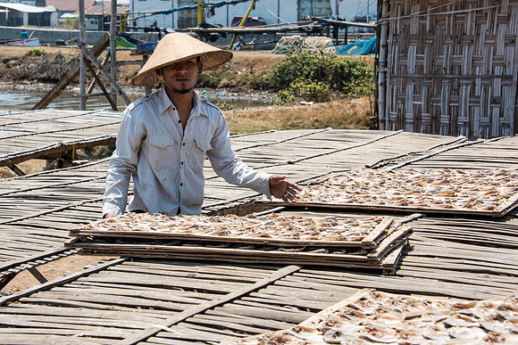 Collecting Dried Fish for Storage