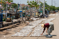 Drying Fish in the Sun on Trays -4