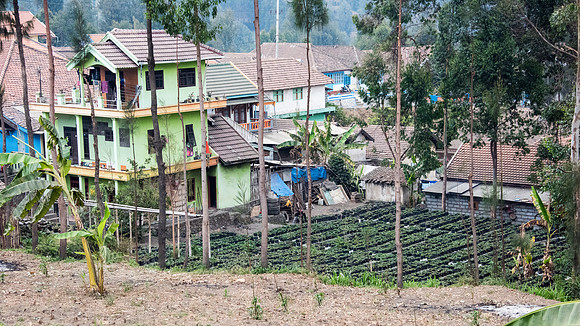 Wonotoro near Mt. Bromo. Strawberry Pots - 1