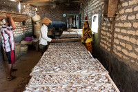 Dried Fish Store