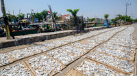 Drying Fish in the Sun on Trays -2
