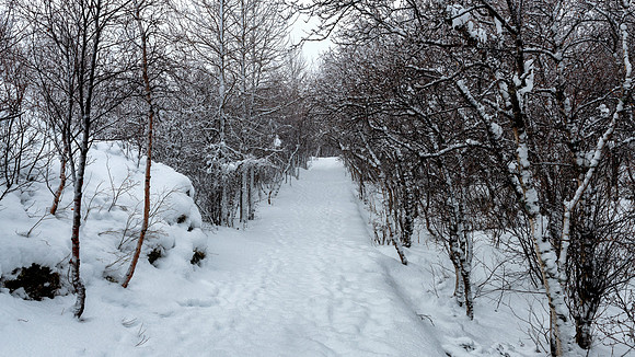 Kálfastrandavogar by Lake Mývatn -1
