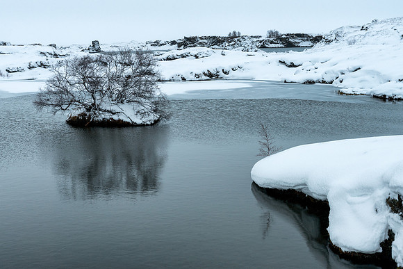 Kálfastrandavogar by Lake Mývatn -7