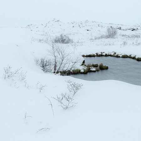 Kálfastrandavogar by Lake Mývatn -9