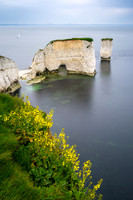 Old Harry Rocks -5
