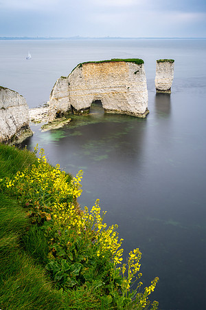 Old Harry Rocks -5