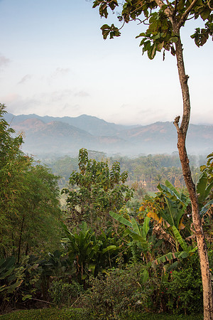 Misty Morning near Borobudur -2