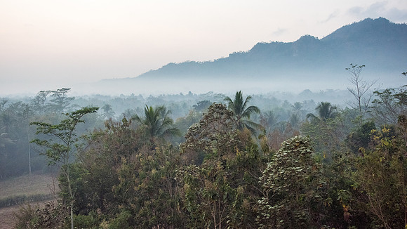 Misty Morning near Borobudur -1