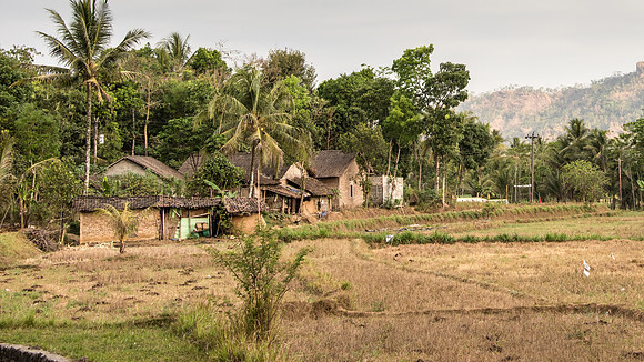Farmland Around Borobudur -2