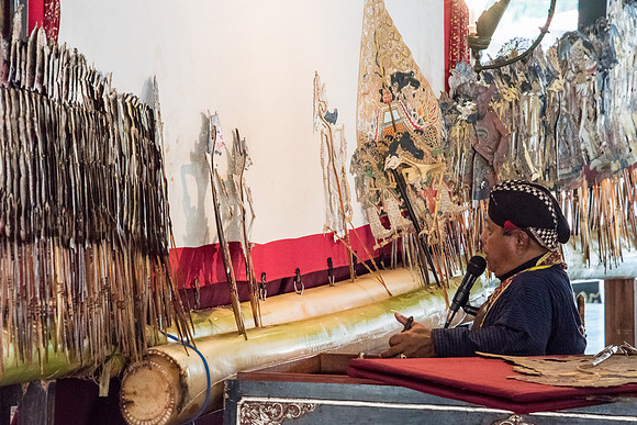 Royal Palace Shadow Puppeteer -1