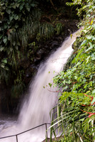 Annadale Waterfall -3