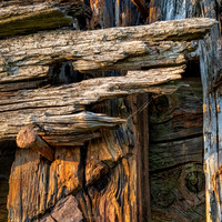 Purton-4