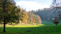 Woodchester Park -1
