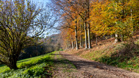 Woodchester Park -4