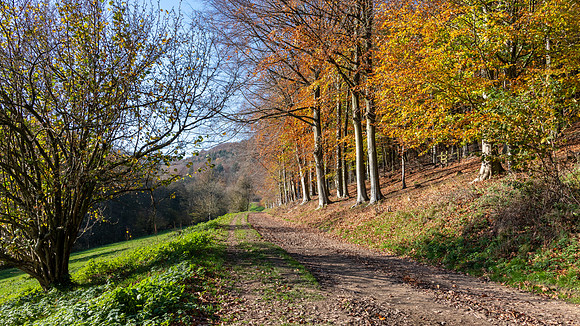 Woodchester Park -4
