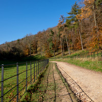 Woodchester Park -2