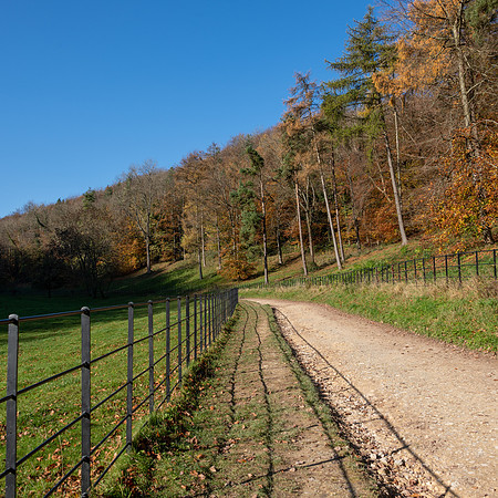 Woodchester Park -2
