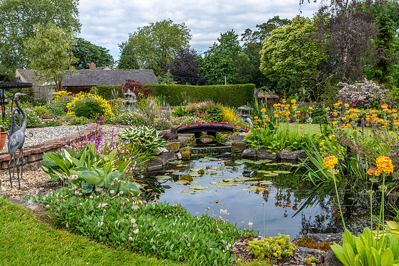 Garden-35