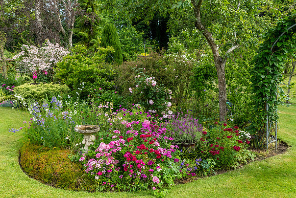 Garden-8