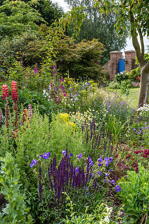 Garden-11