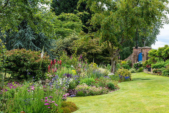 Garden-50
