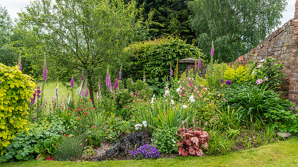 Garden-19