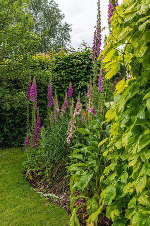 Garden-20