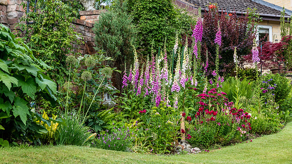 Garden-17