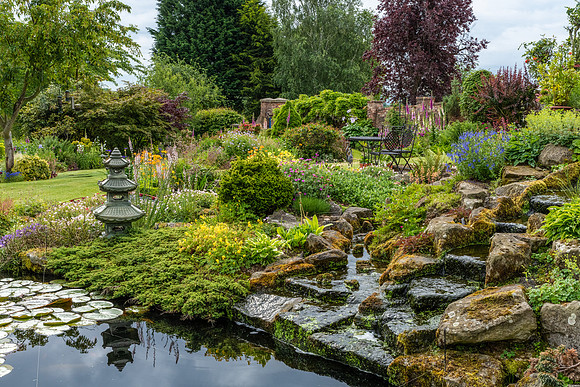 Garden-39