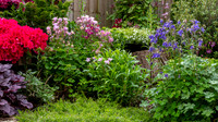 Garden-101