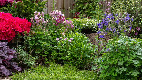 Garden-101