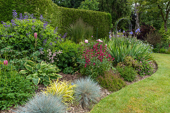 Garden-48