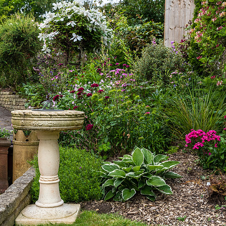 Garden-44