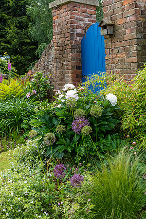 Garden-18