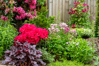 Garden-100