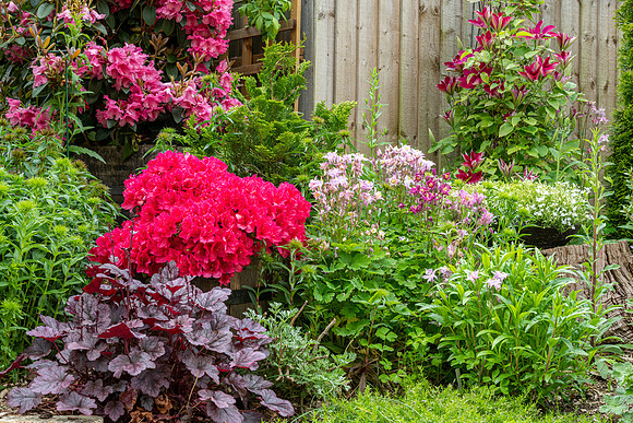 Garden-100