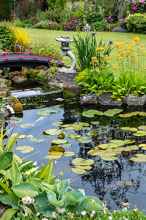 Garden-33