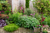 Garden-4