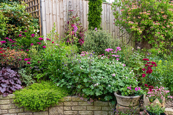 Garden-4