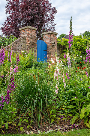 Garden-57