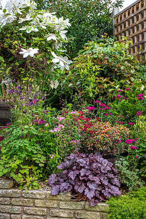 Garden-5
