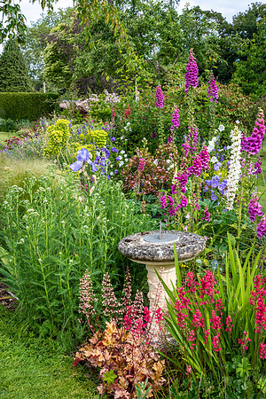 Garden-14