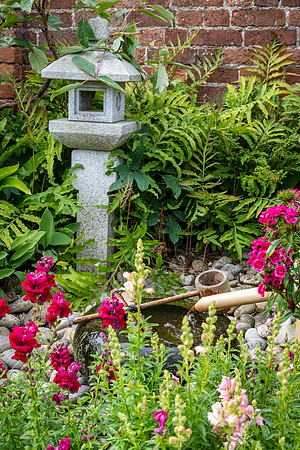 Garden-22