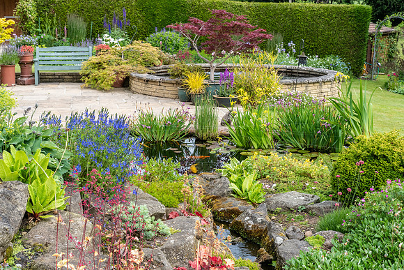 Garden-28