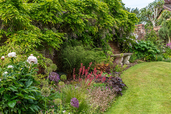 Garden-21